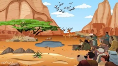 مجلة الجميلات والشرق