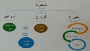 مجلة الجميلات والشرق